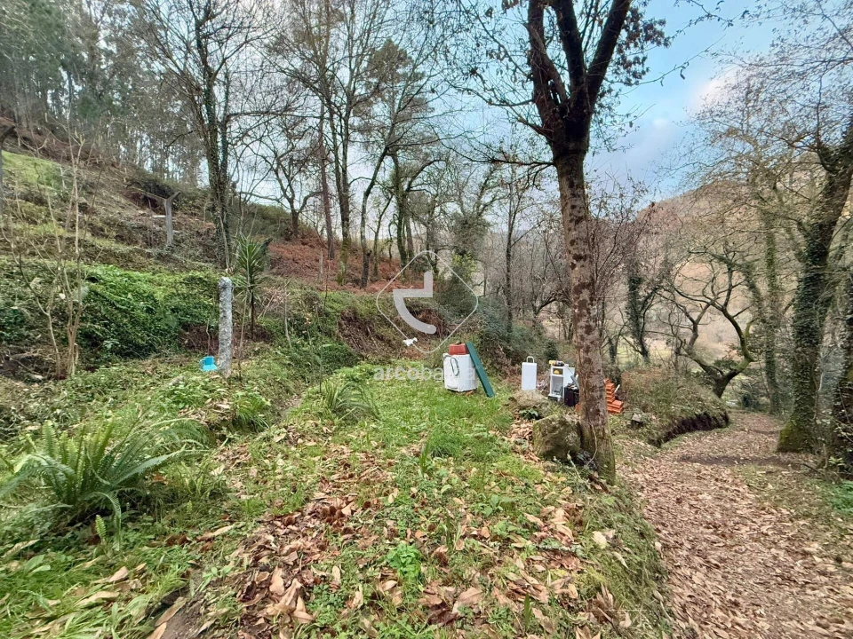 Terreno para Venda em Guilhadeses e Santar Foto 15