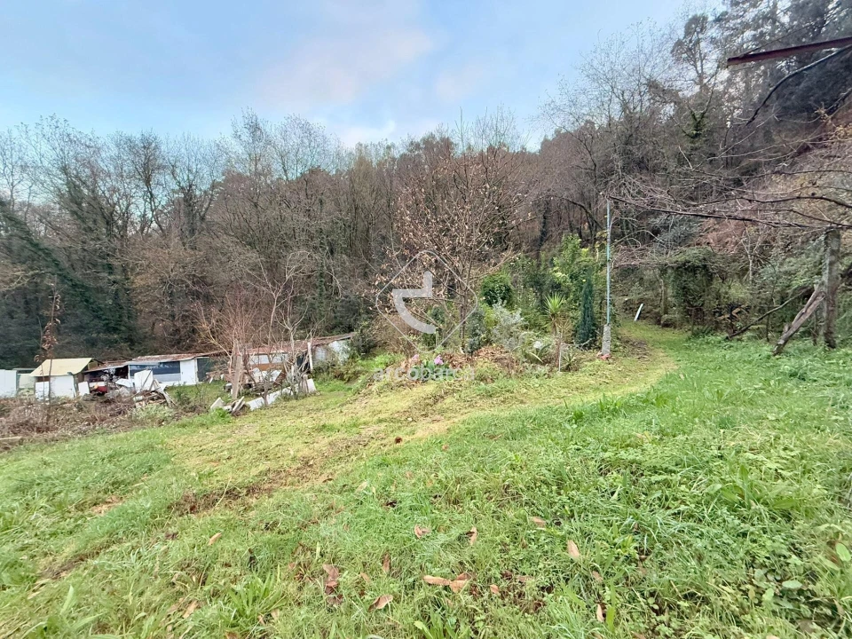 Terreno para Venda em Guilhadeses e Santar Foto 10