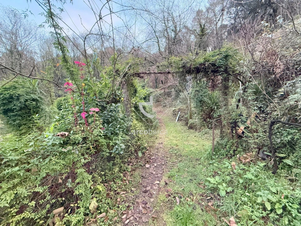 Terreno para Venda em Guilhadeses e Santar Foto 11