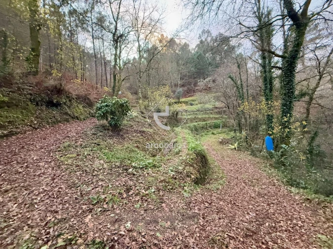 Terreno para Venda em Guilhadeses e Santar Foto 18