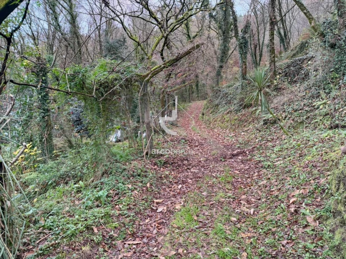 Terreno para Venda em Guilhadeses e Santar Foto 12