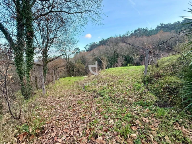 Terreno para Venda em Guilhadeses e Santar