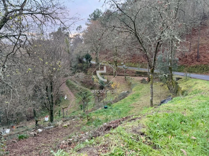 Terreno para Venda em Guilhadeses e Santar Foto 24