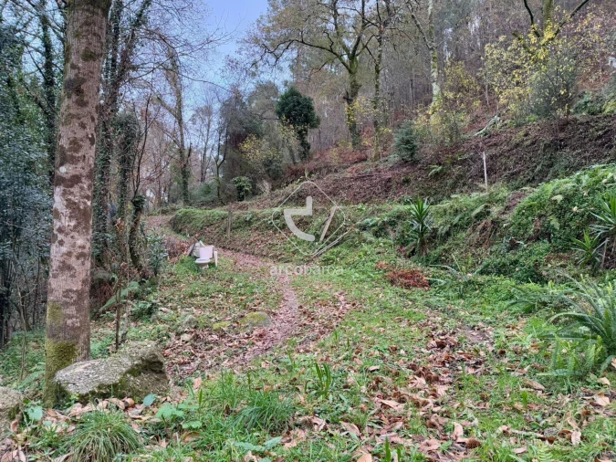 Terreno para Venda em Guilhadeses e Santar Foto 17