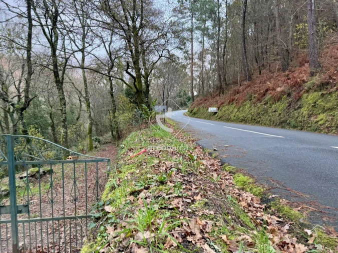 Terreno para Venda em Guilhadeses e Santar Foto 23