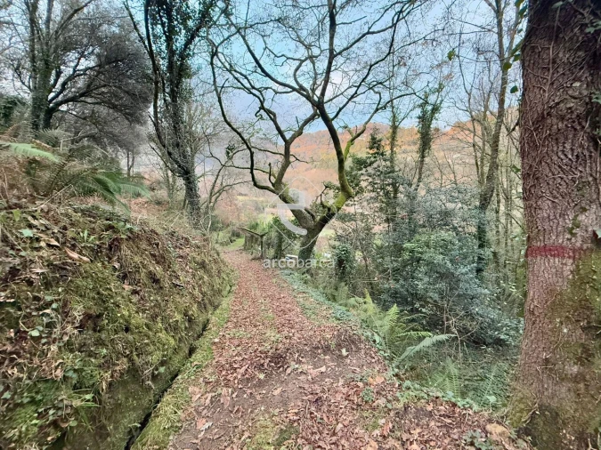 Terreno para Venda em Guilhadeses e Santar Foto 14