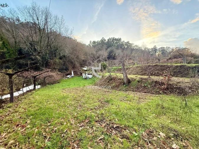 Terreno para Venda em Guilhadeses e Santar Foto 3