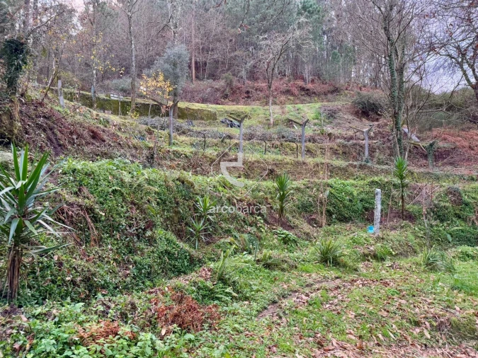 Terreno para Venda em Guilhadeses e Santar Foto 16