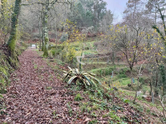 Terreno para Venda em Guilhadeses e Santar Foto 19