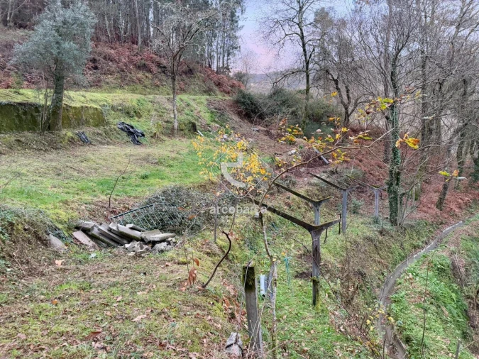 Terreno para Venda em Guilhadeses e Santar Foto 21