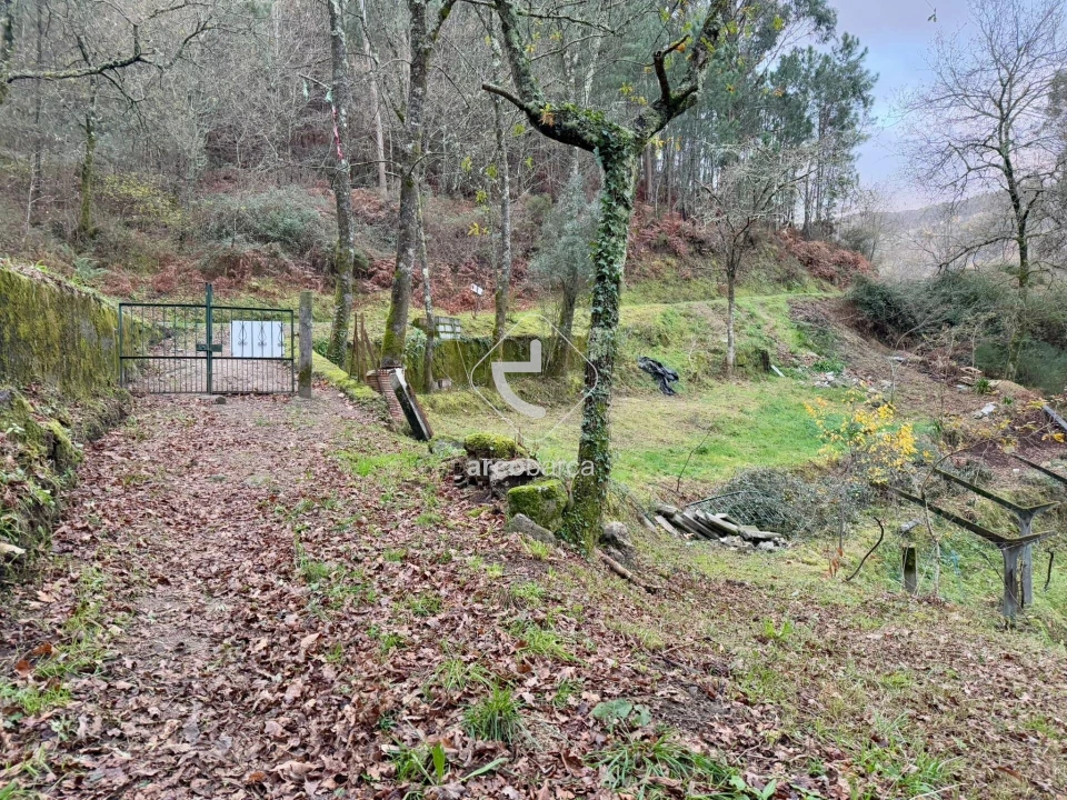 Terreno para Venda em Guilhadeses e Santar Foto 20