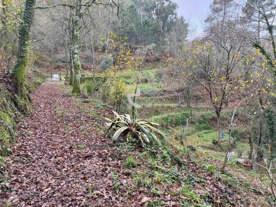 Terreno para Venda em Guilhadeses e Santar Foto 19