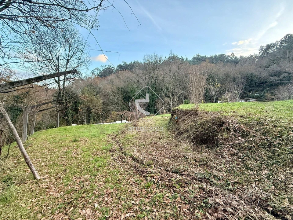 Terreno para Venda em Guilhadeses e Santar Foto 2