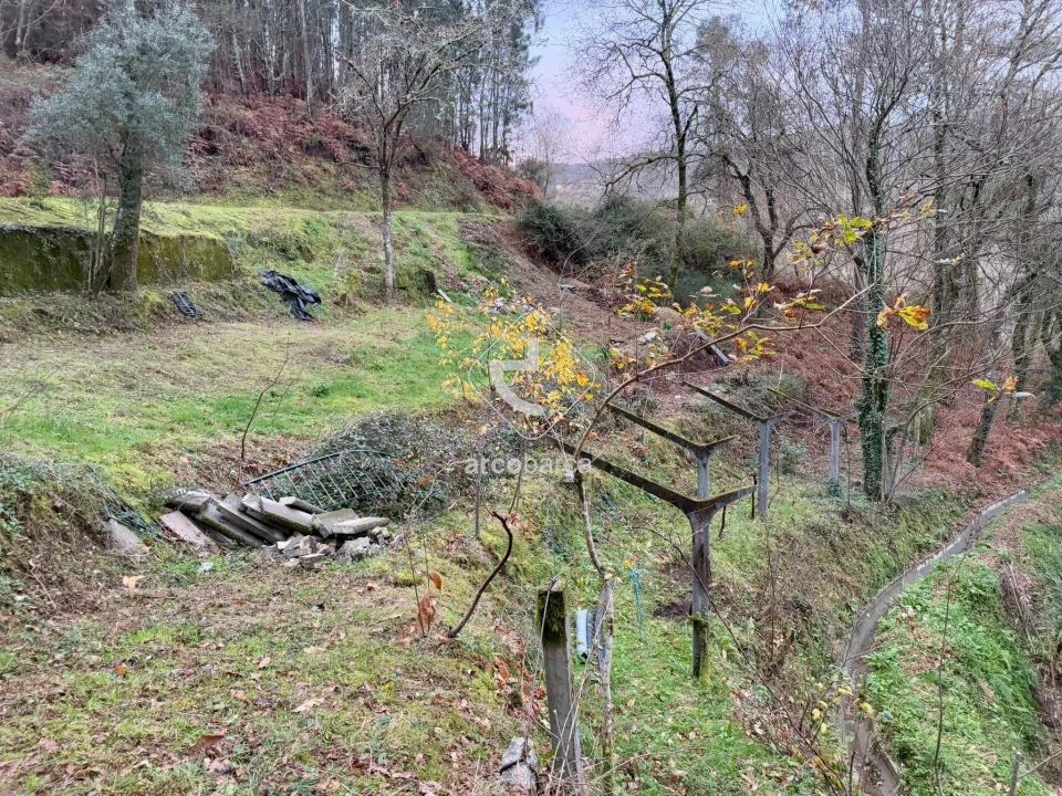 Terreno para Venda em Guilhadeses e Santar Foto 21