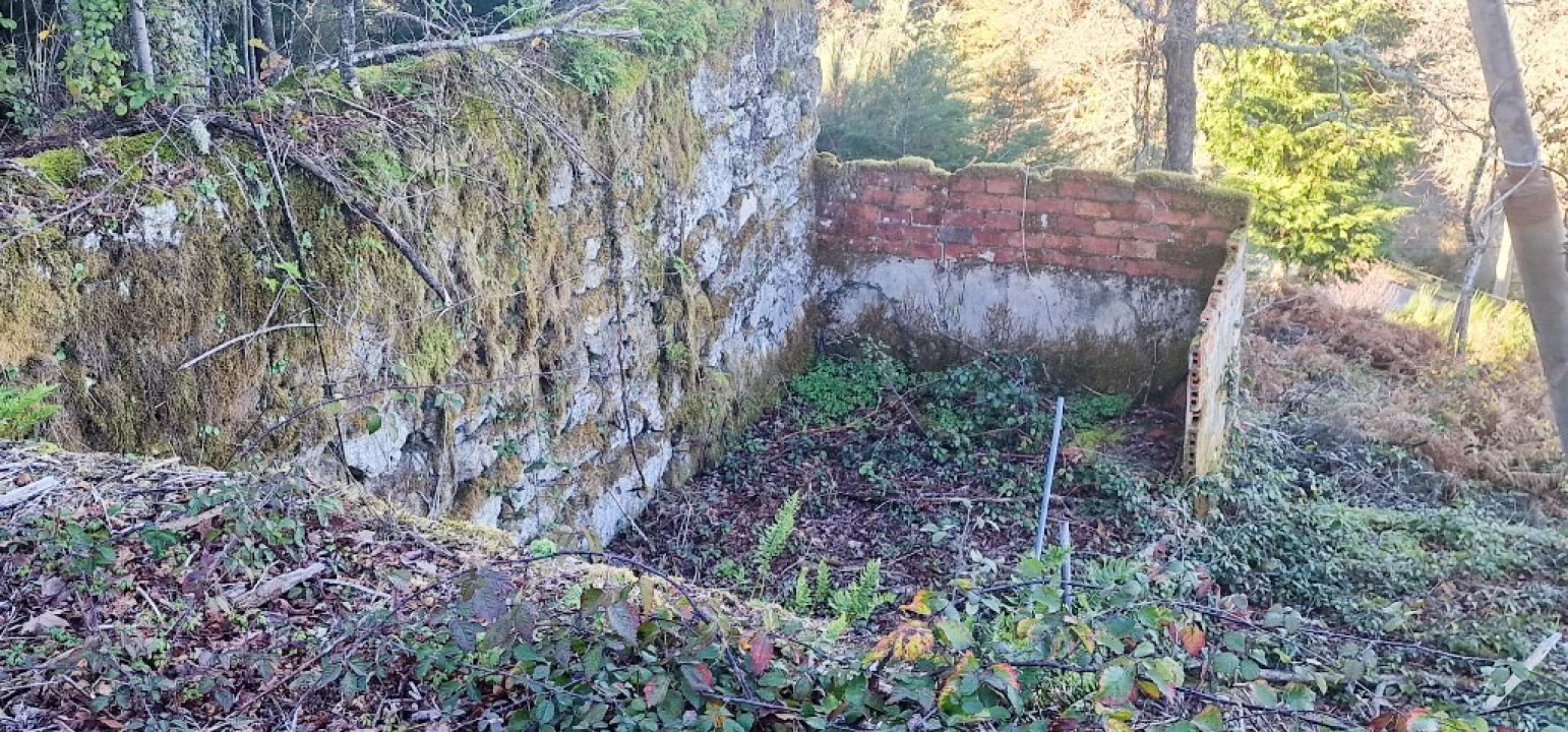 Quinta para Venda em Ruivães e Campos Foto 38