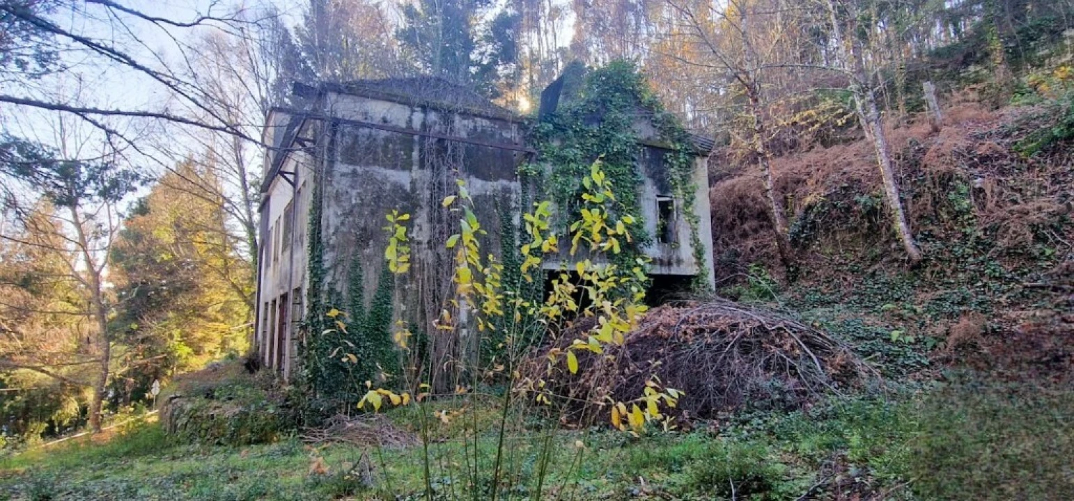 Quinta para Venda em Ruivães e Campos Foto 9