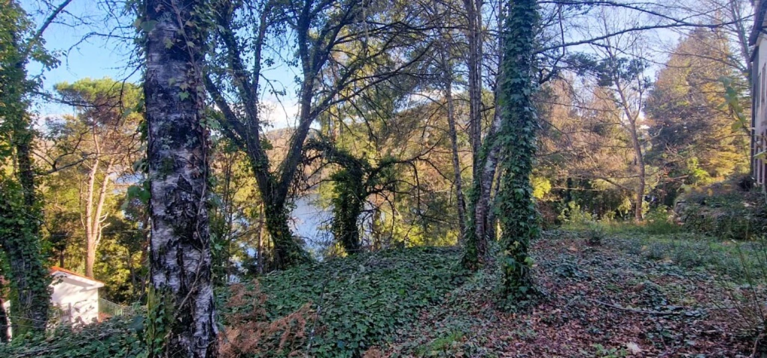 Quinta para Venda em Ruivães e Campos Foto 51