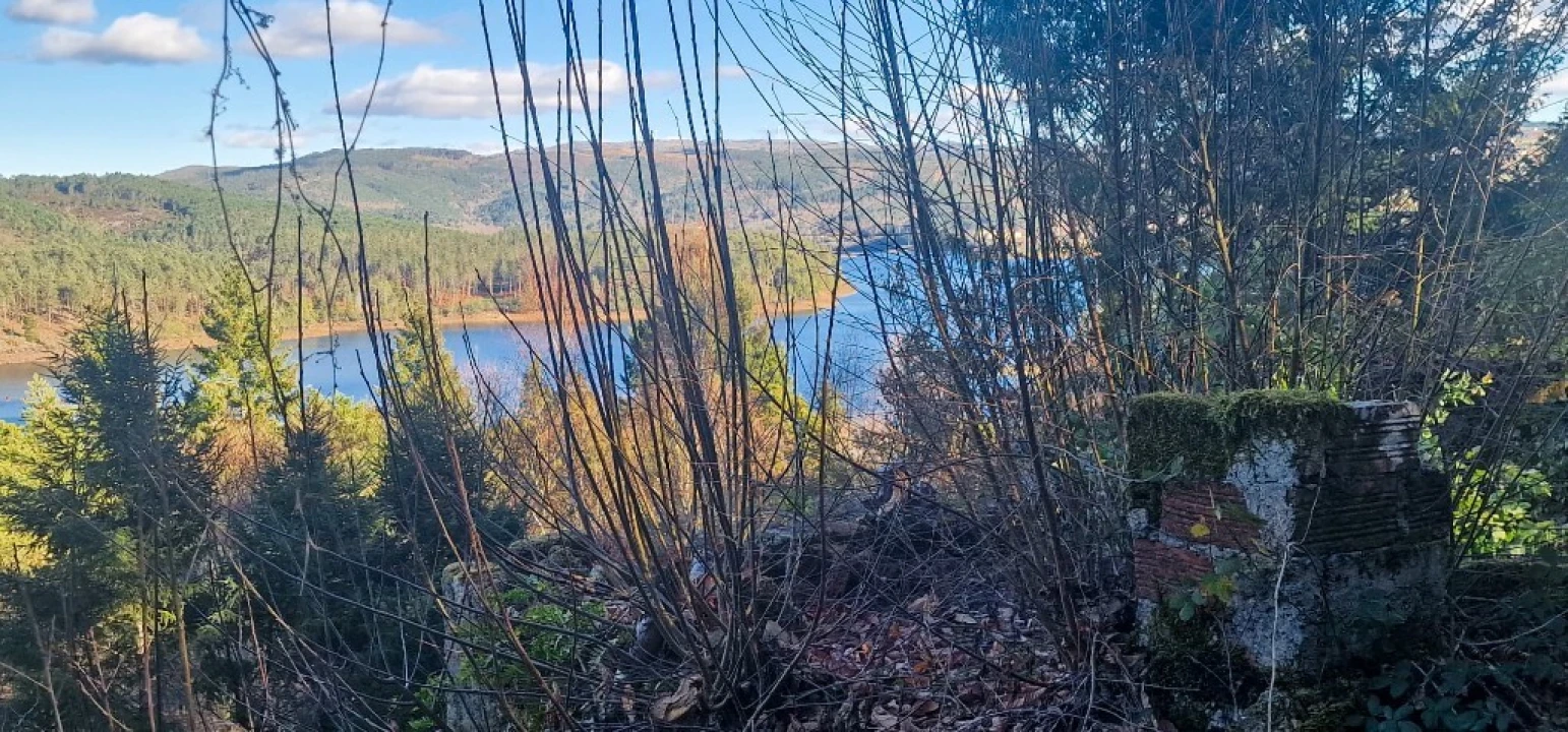Quinta para Venda em Ruivães e Campos Foto 32