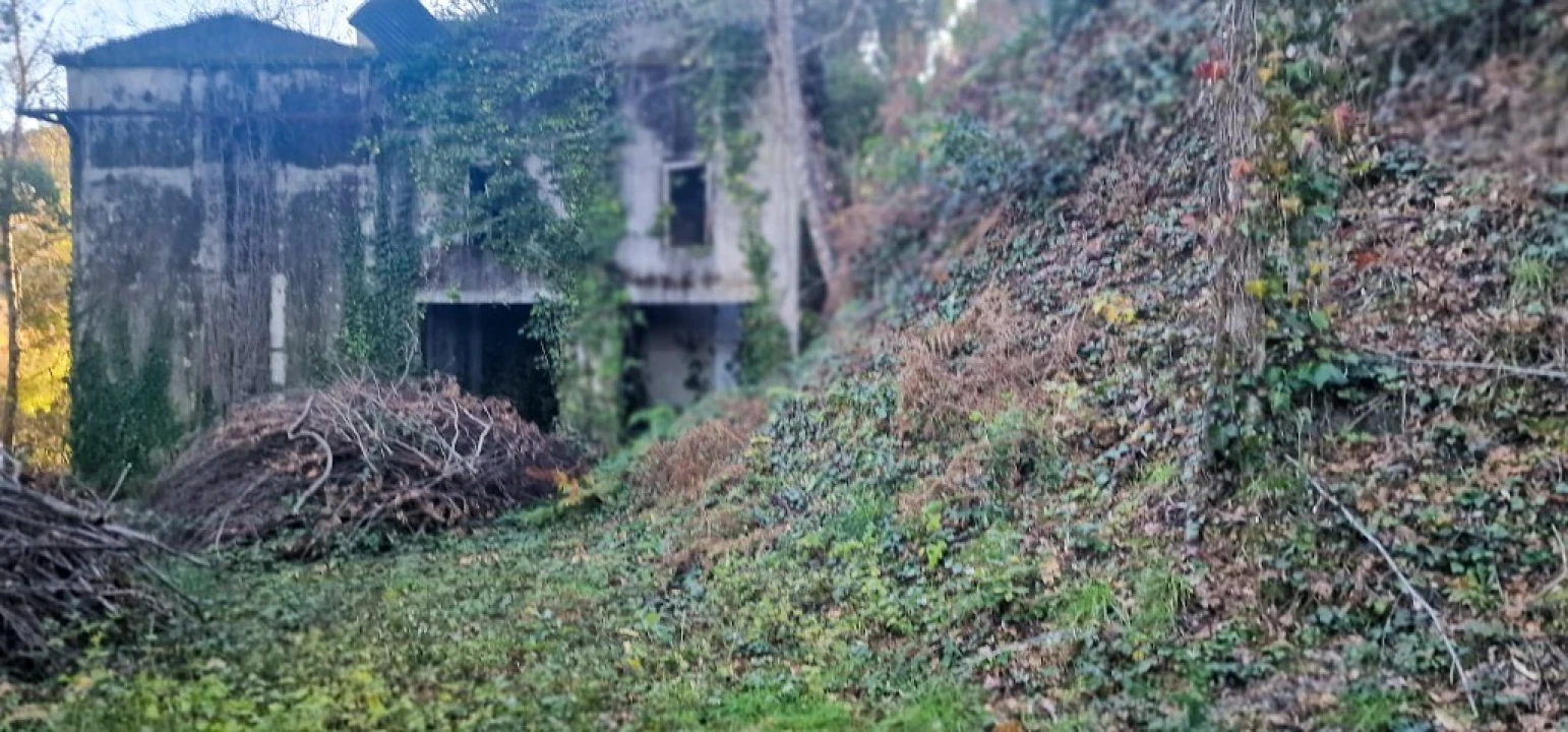 Quinta para Venda em Ruivães e Campos Foto 23