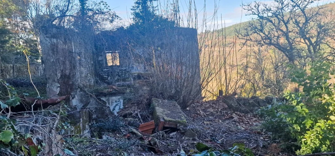 Quinta para Venda em Ruivães e Campos Foto 31