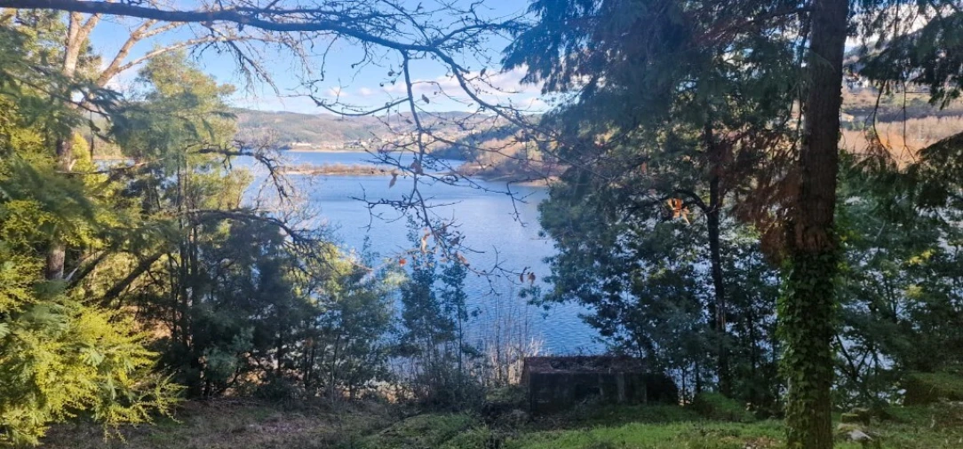 Quinta para Venda em Ruivães e Campos Foto 55