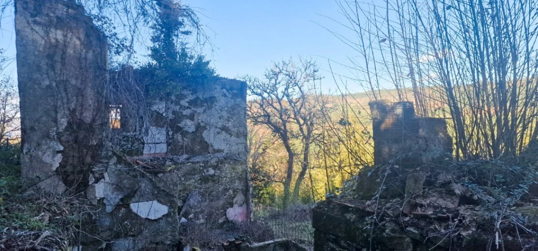 Quinta para Venda em Ruivães e Campos Foto 45