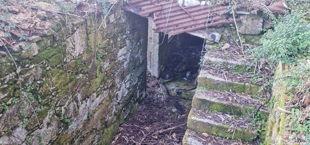 Quinta para Venda em Ruivães e Campos Foto 33