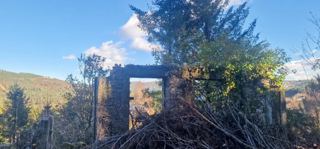 Quinta para Venda em Ruivães e Campos Foto 11