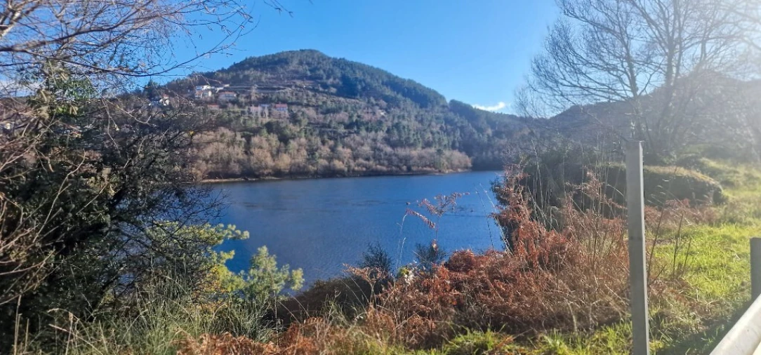 Quinta para Venda em Ruivães e Campos Foto 2