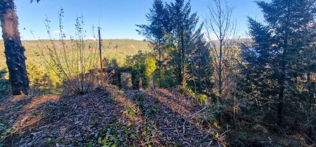 Quinta para Venda em Ruivães e Campos Foto 28