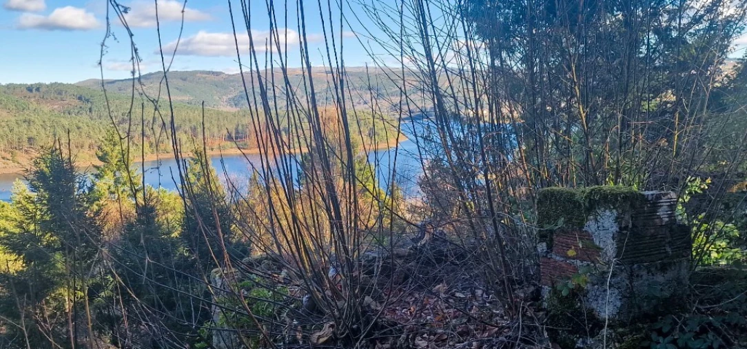 Quinta para Venda em Ruivães e Campos Foto 32