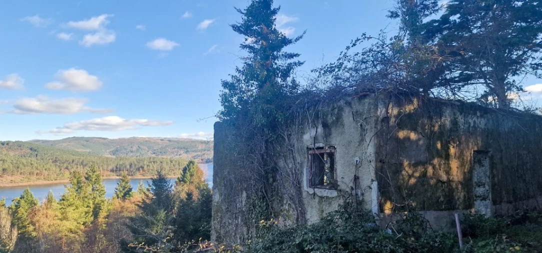 Quinta para Venda em Ruivães e Campos Foto 5
