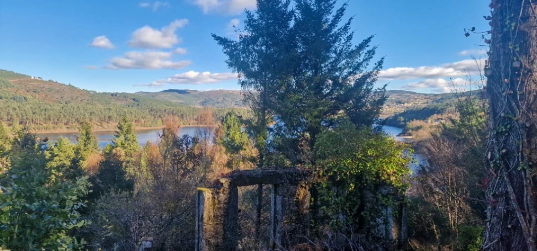 Quinta para Venda em Ruivães e Campos Foto 44