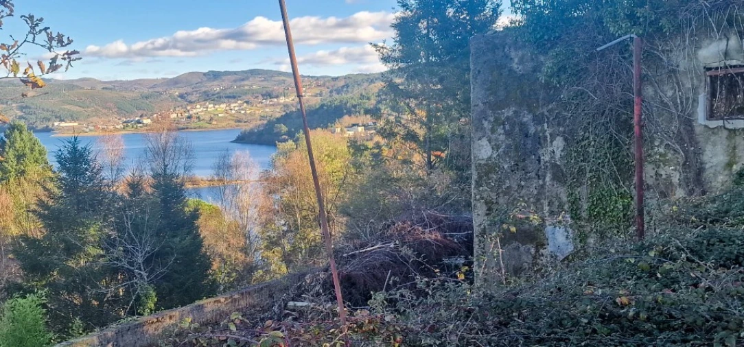 Quinta para Venda em Ruivães e Campos Foto 36