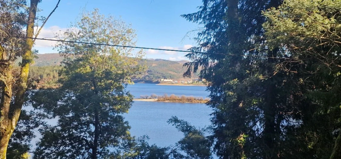 Quinta para Venda em Ruivães e Campos Foto 6