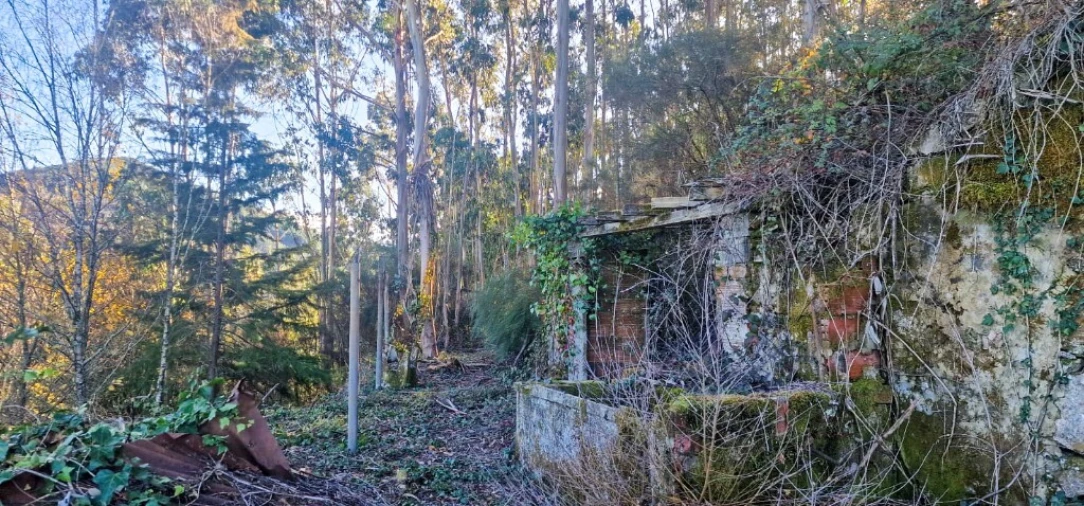Quinta para Venda em Ruivães e Campos Foto 43