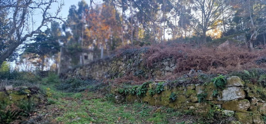 Quinta para Venda em Ruivães e Campos Foto 24