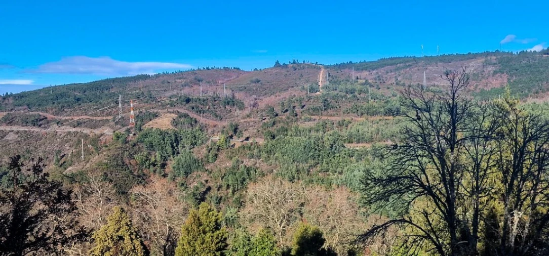 Quinta para Venda em Ruivães e Campos Foto 4