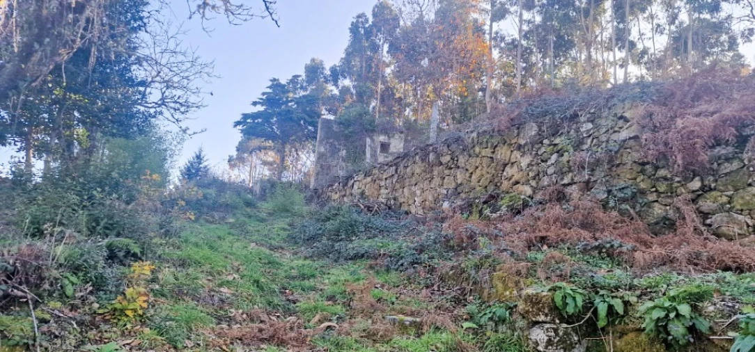 Quinta para Venda em Ruivães e Campos Foto 52