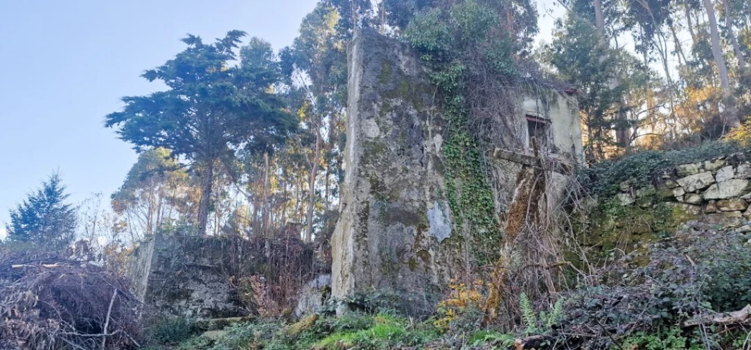 Quinta para Venda em Ruivães e Campos Foto 50