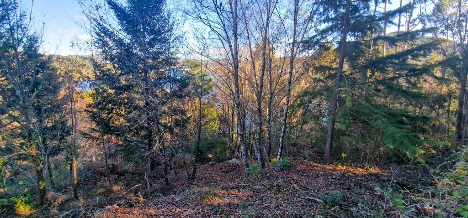 Quinta para Venda em Ruivães e Campos Foto 29
