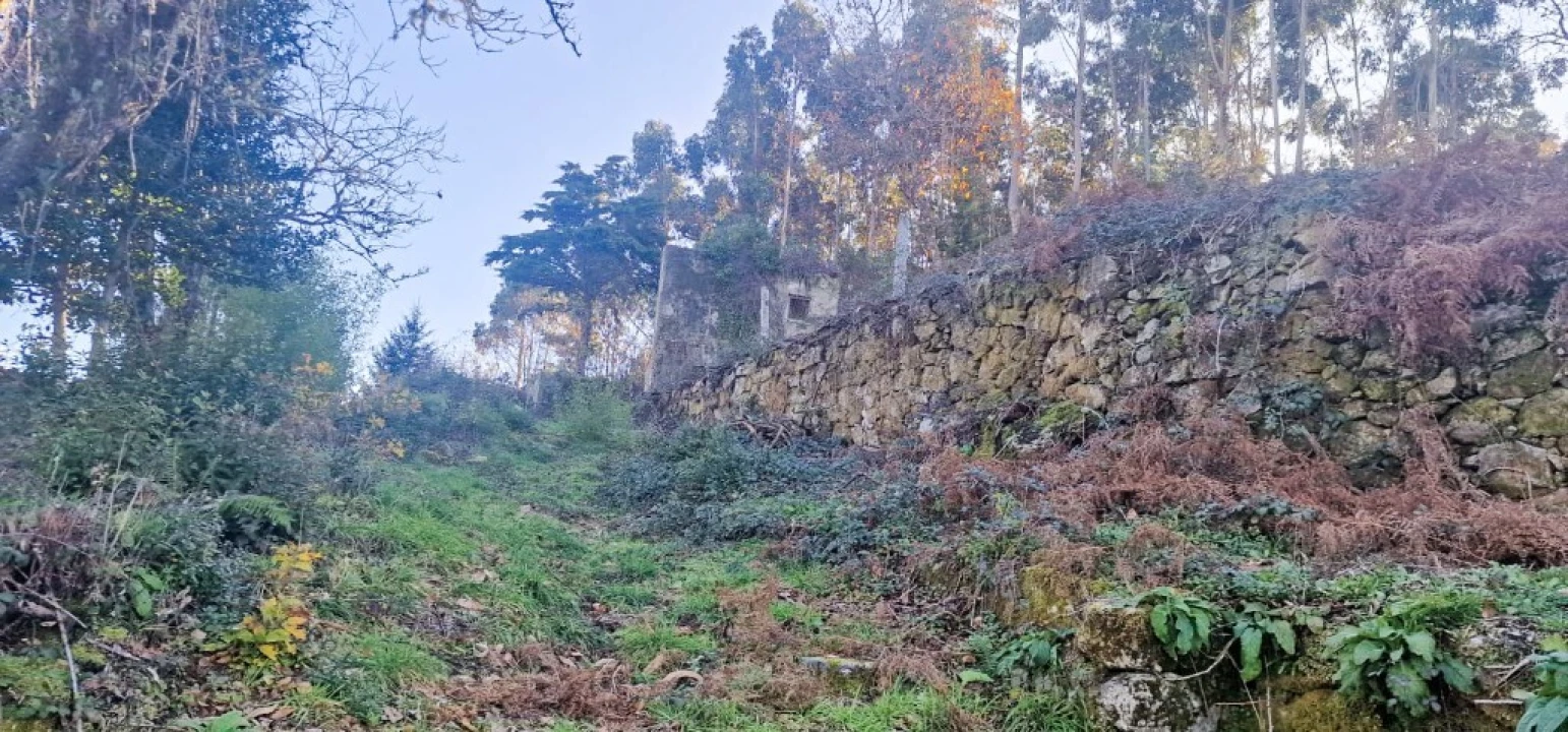 Quinta para Venda em Ruivães e Campos Foto 52