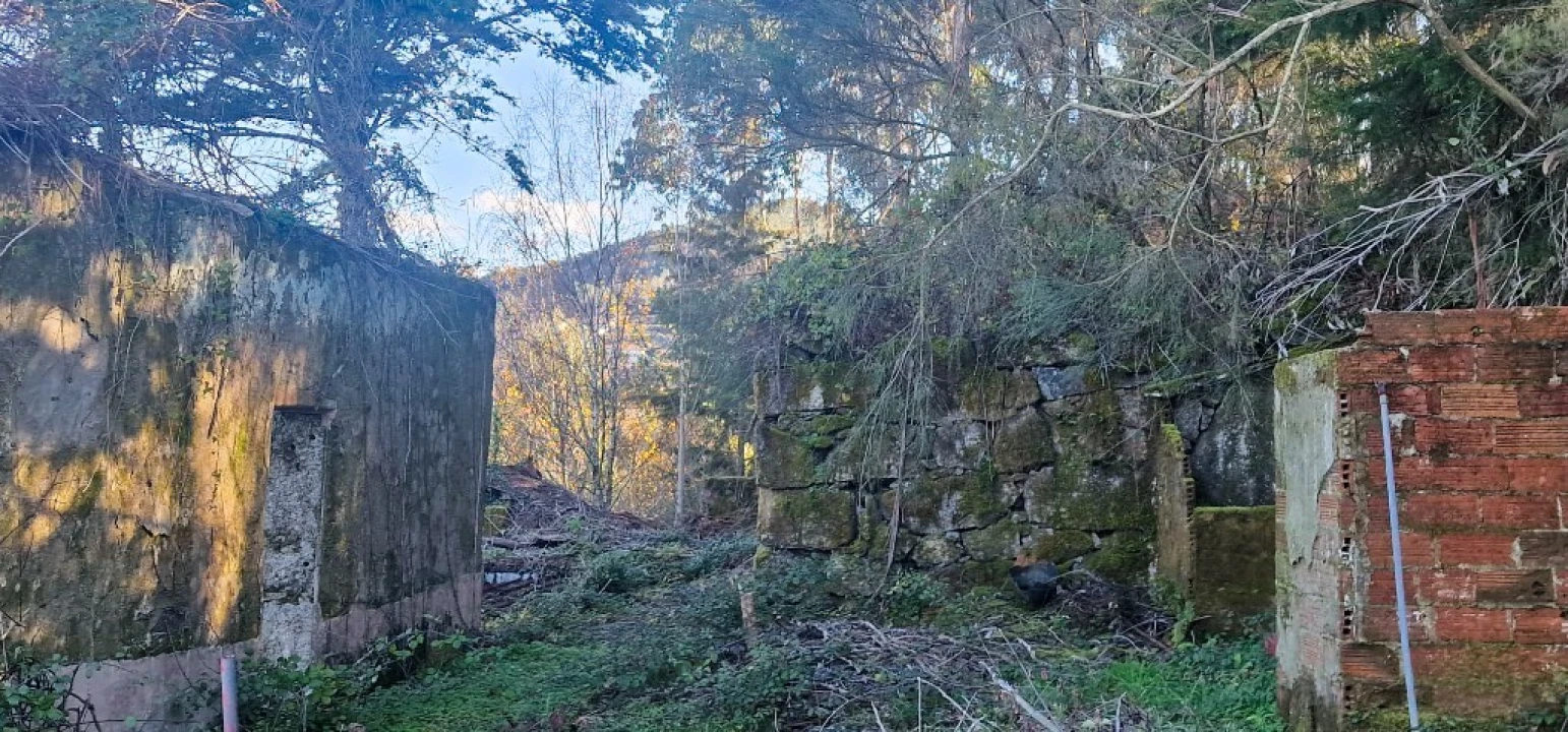 Quinta para Venda em Ruivães e Campos Foto 35