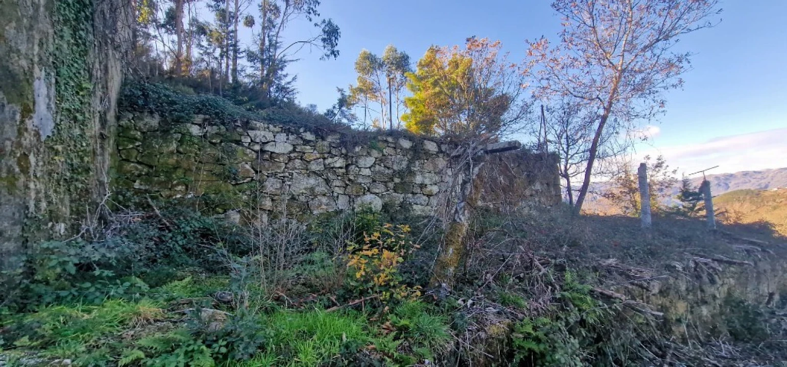 Quinta para Venda em Ruivães e Campos Foto 27