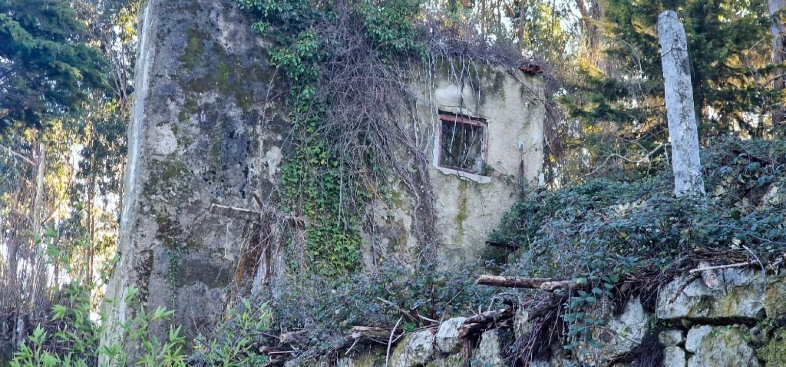 Quinta para Venda em Ruivães e Campos Foto 25