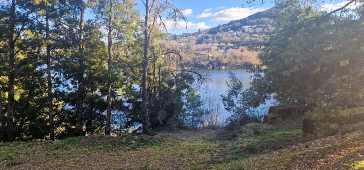 Quinta para Venda em Ruivães e Campos Foto 15