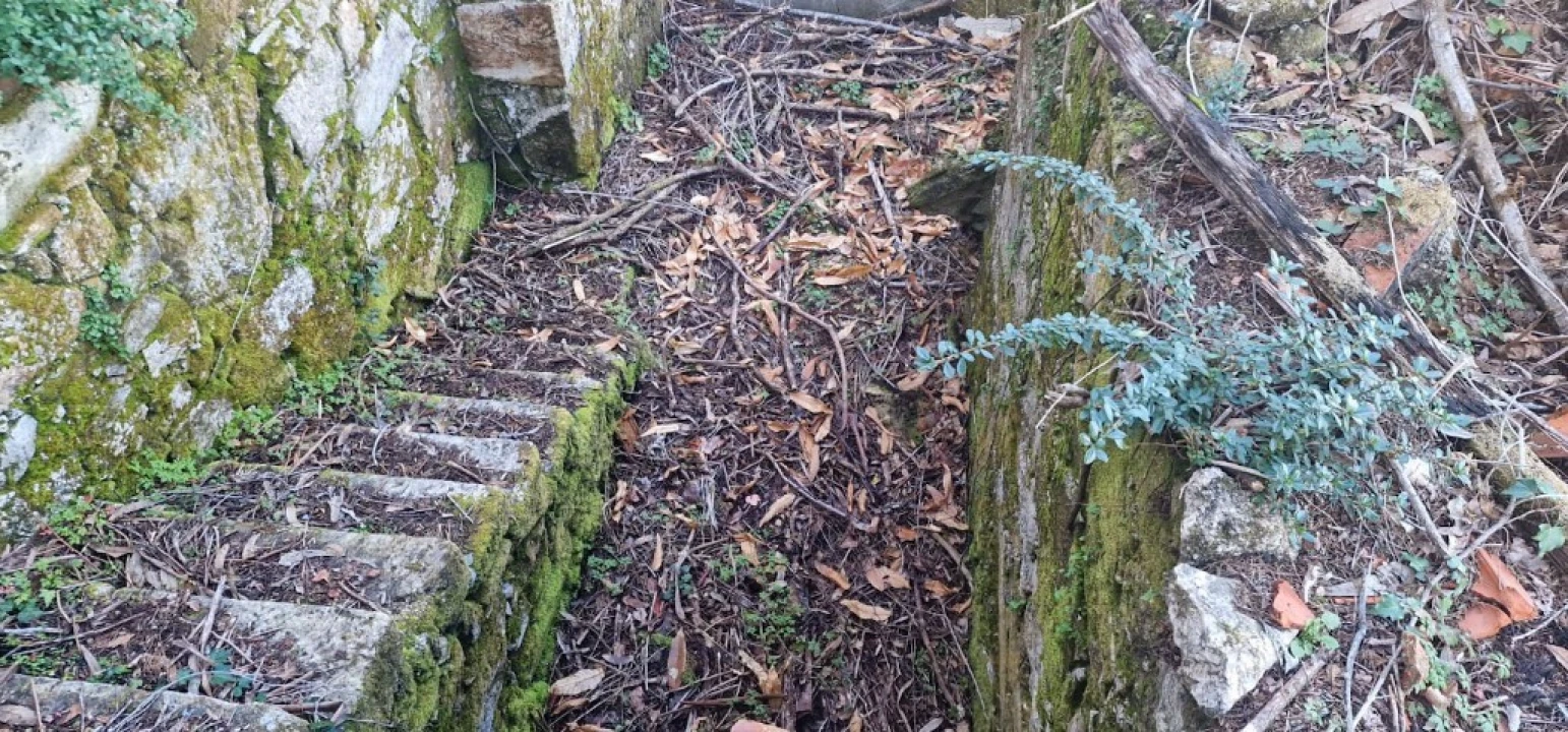 Quinta para Venda em Ruivães e Campos Foto 42