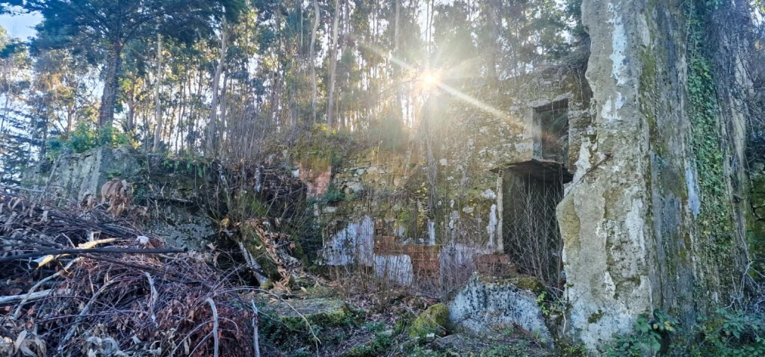 Quinta para Venda em Ruivães e Campos Foto 49