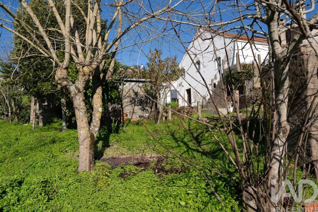 Terreno para Venda em Almalagues Foto 10