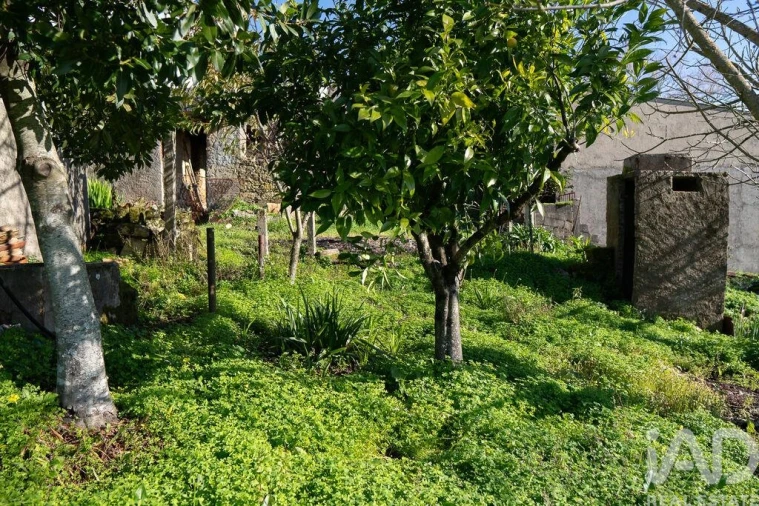 Terreno para Venda em Almalagues Foto 8